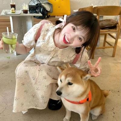 了不起的女侠